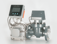 Smart Roots (Lobe) Flow Meter