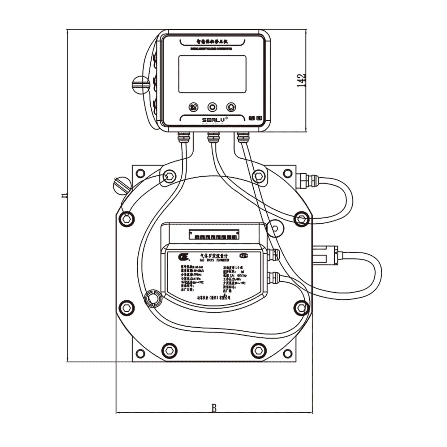 Smart Roots (Lobe) Flow Meter