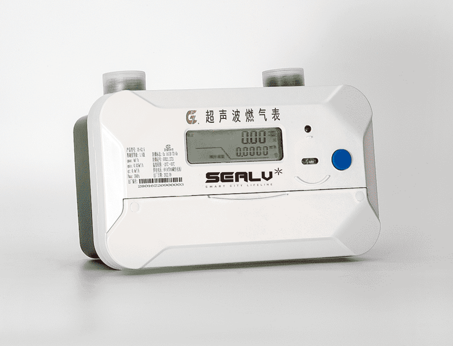 Smart Ultrasonic Gas Meter