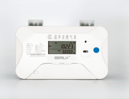 Smart Ultrasonic Gas Meter