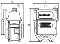 Smart NB-IoT Wireless Remote-Read Gas Meter
