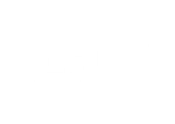 Seal-v