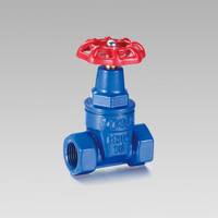 Nodular cast iron soft sealing gate valve YH-1001
