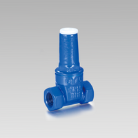 Mechanical anti-theft nodular cast iron soft sealing gate valve YH-1003