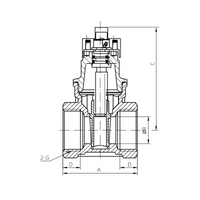 Magnetic lockable brass gate valve YH-101
