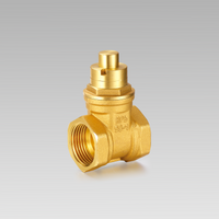 Magnetic lockable brass gate valve YH-101