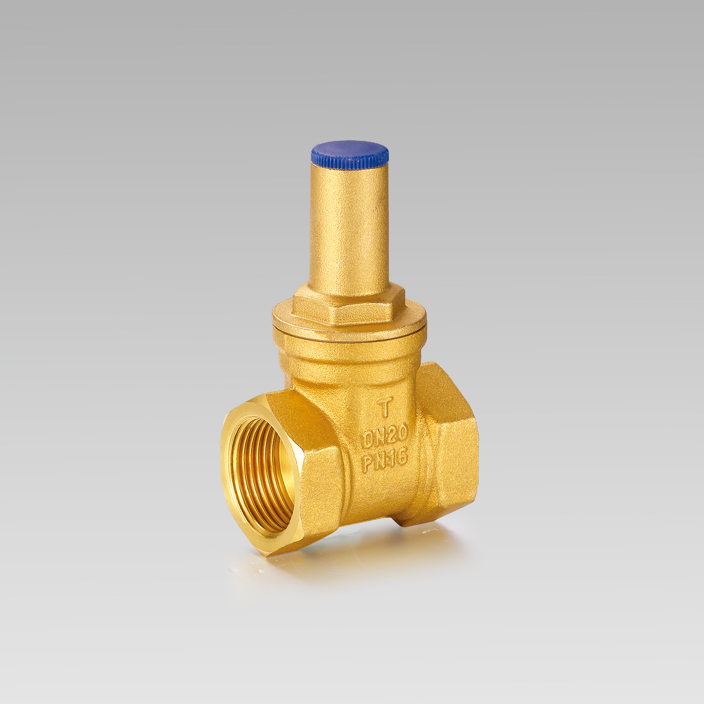 Mechanical lockable brass gate valve YH-102